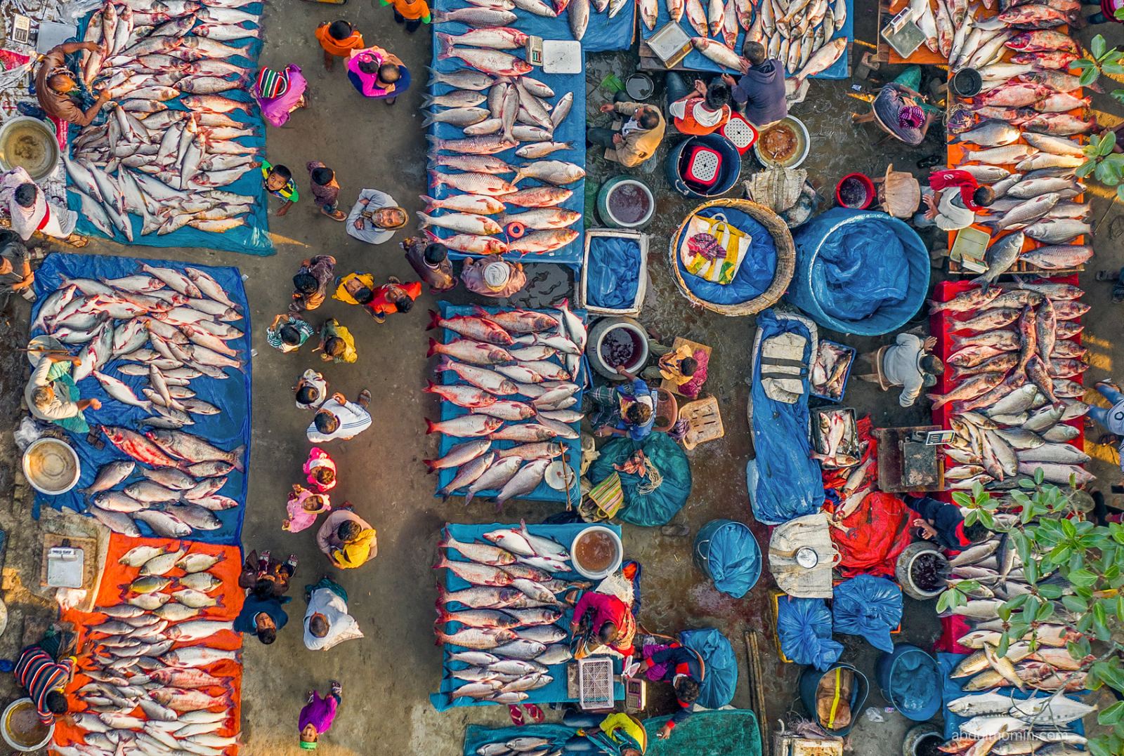 Rural Lifestyle and Village Fair