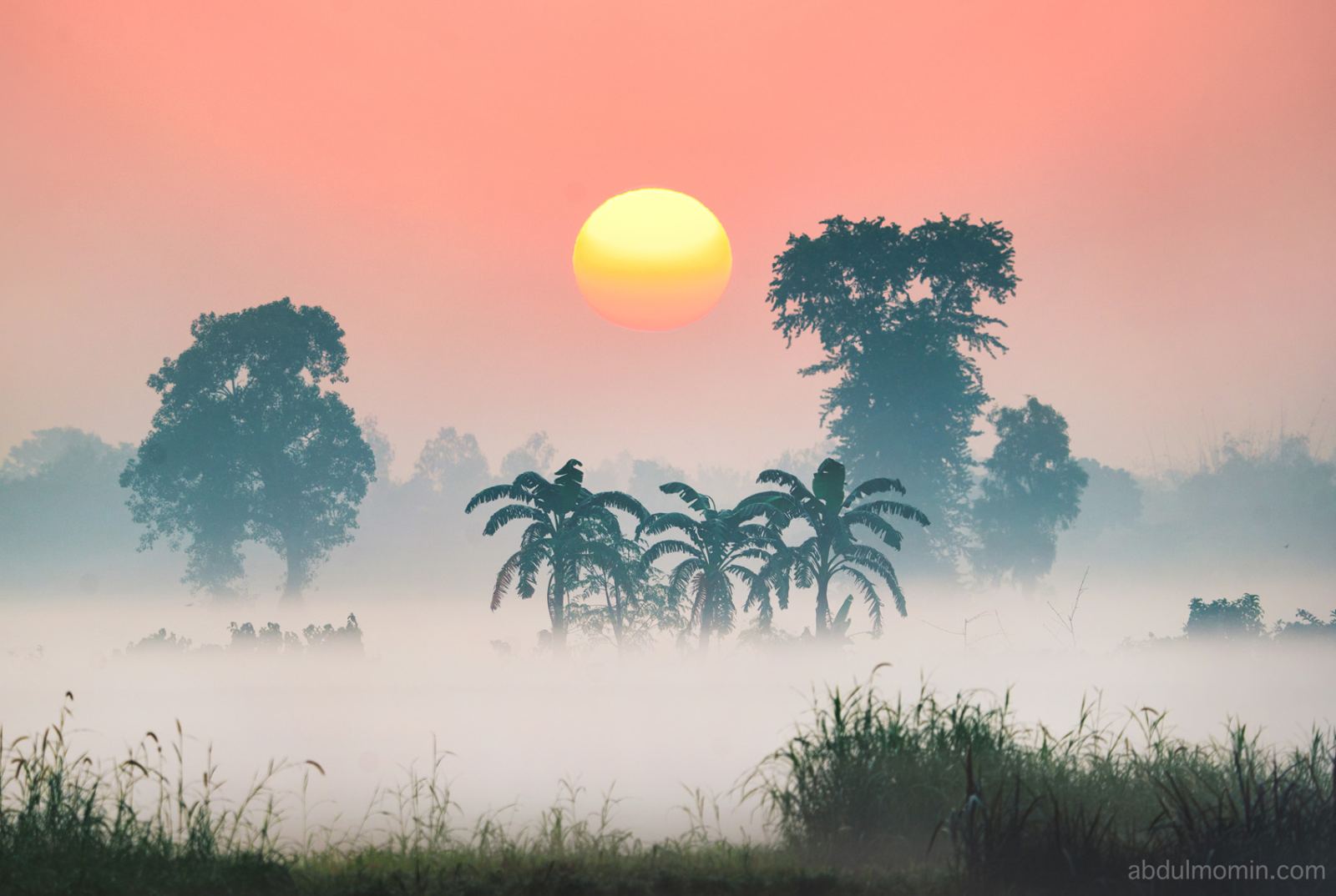 Foggy Winter Morning View and Riverside Lifestyle