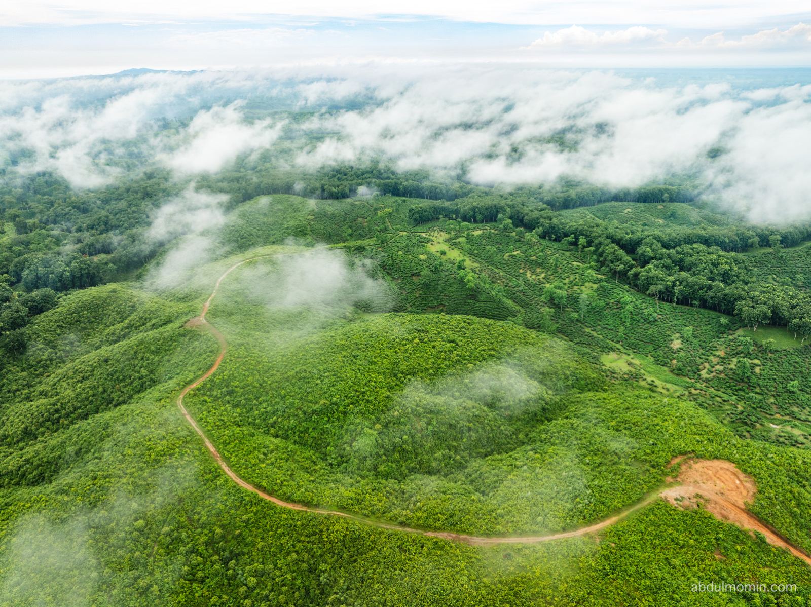 Wildflower Wetlands & Rolling Tea Gardens