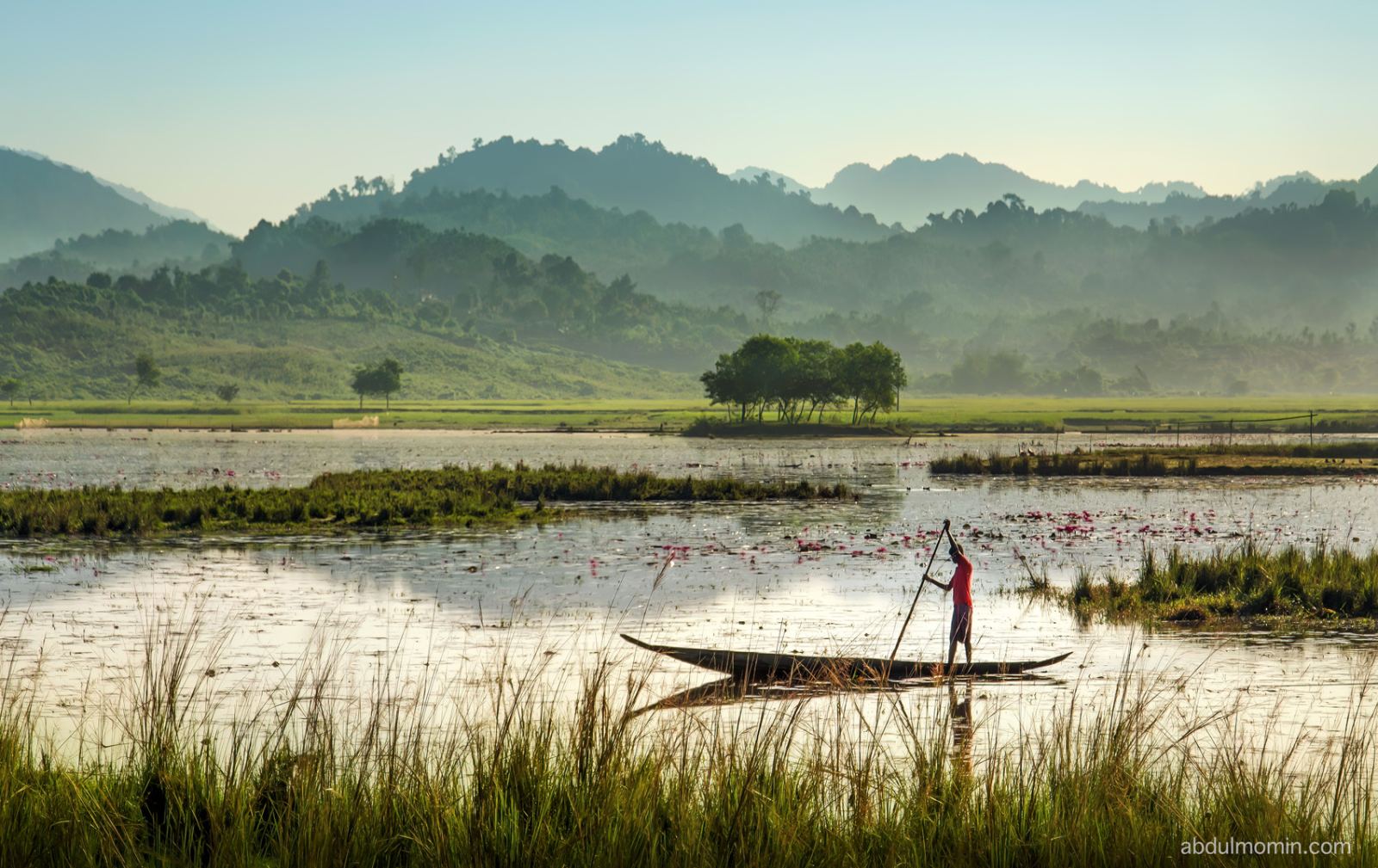 Wildflower Wetlands & Rolling Tea Gardens