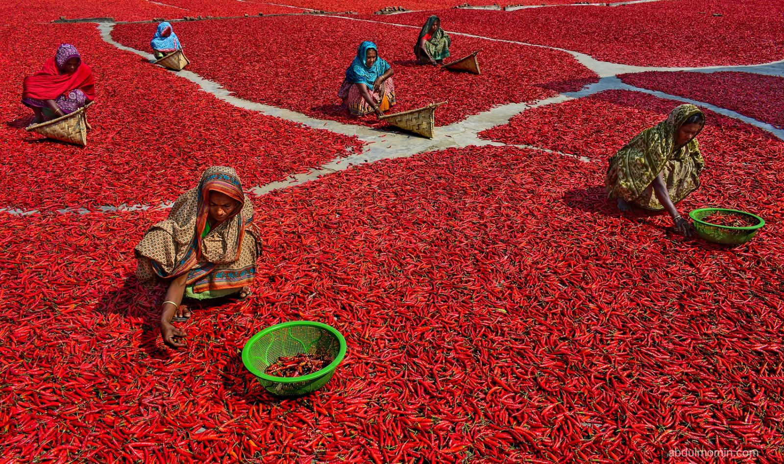 Riverbank Red Chili Drying Flats