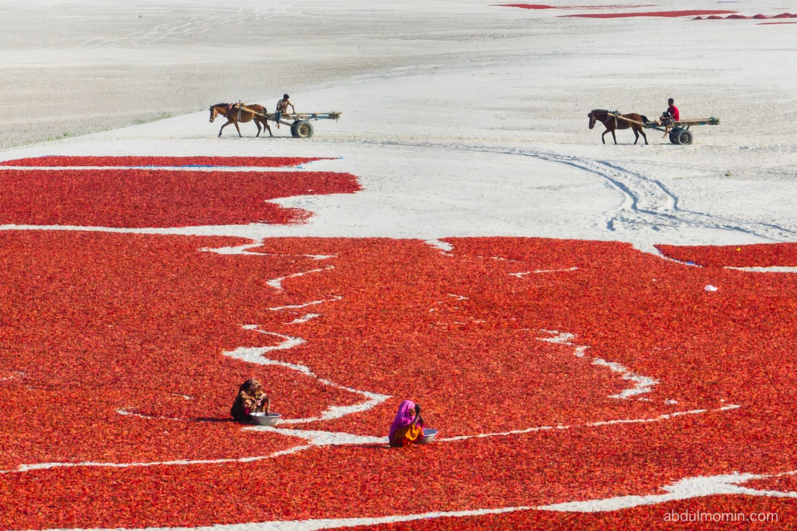Riverbank Red Chili Drying Flats