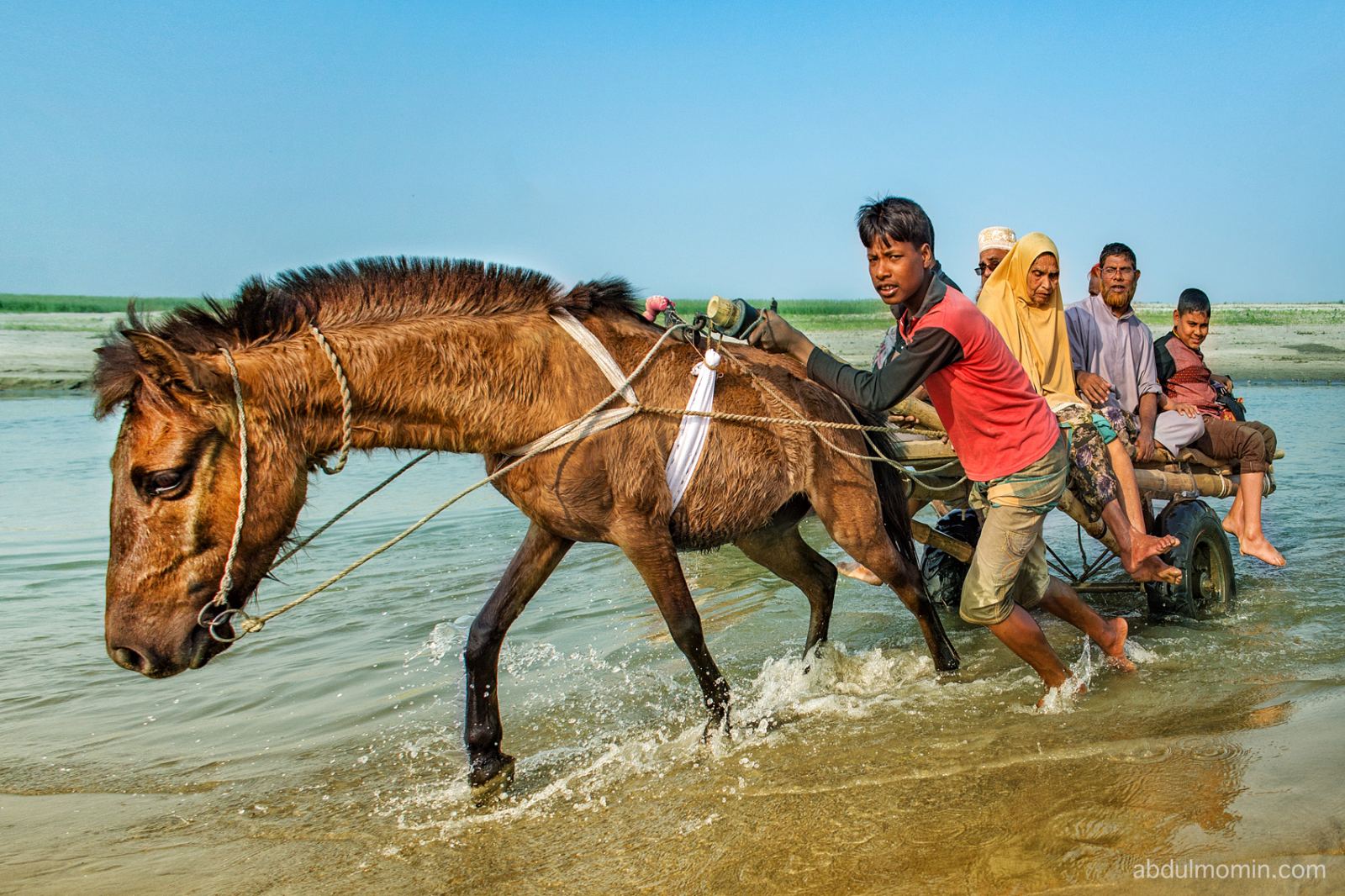 Sandbar Life in the Remote River Basin