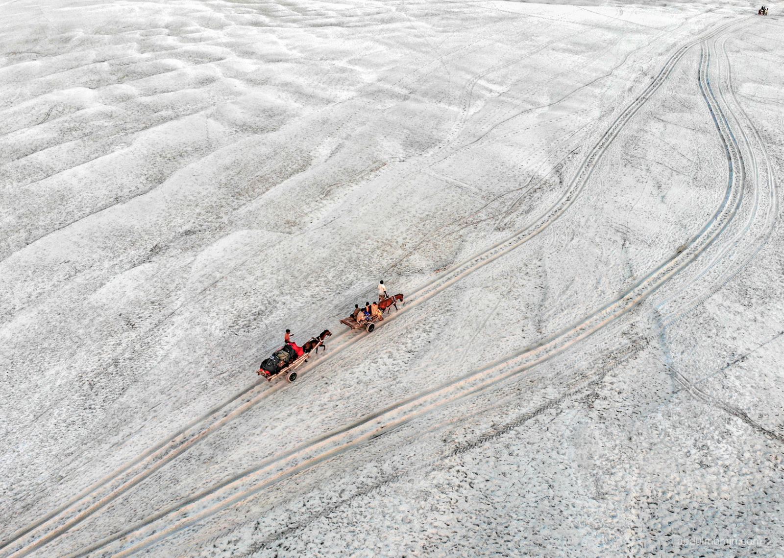 Sandbar Life in the Remote River Basin