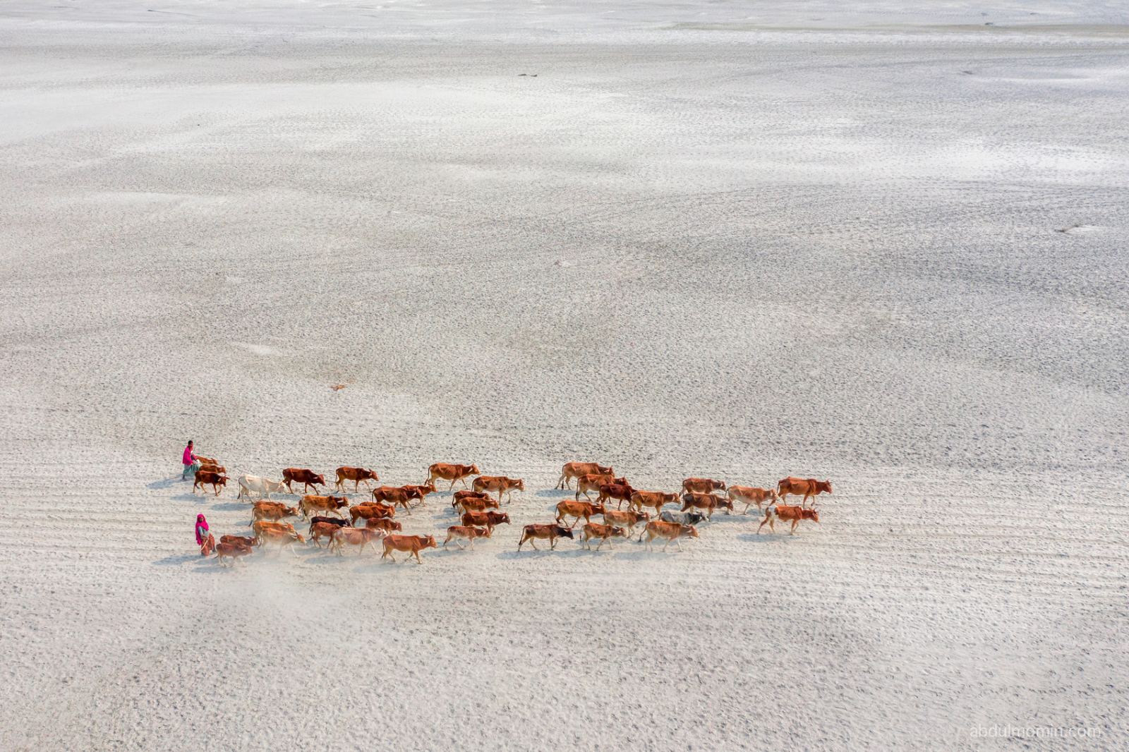 Sandbar Life in the Remote River Basin