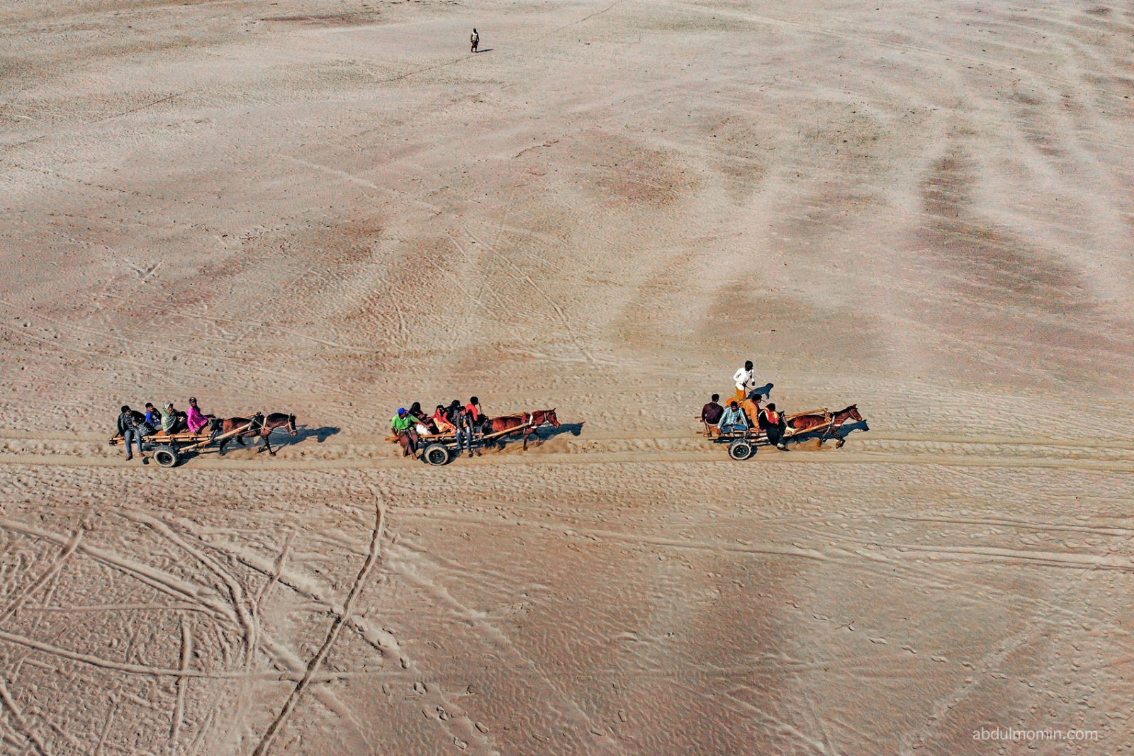 Sandbar Life in the Remote River Basin