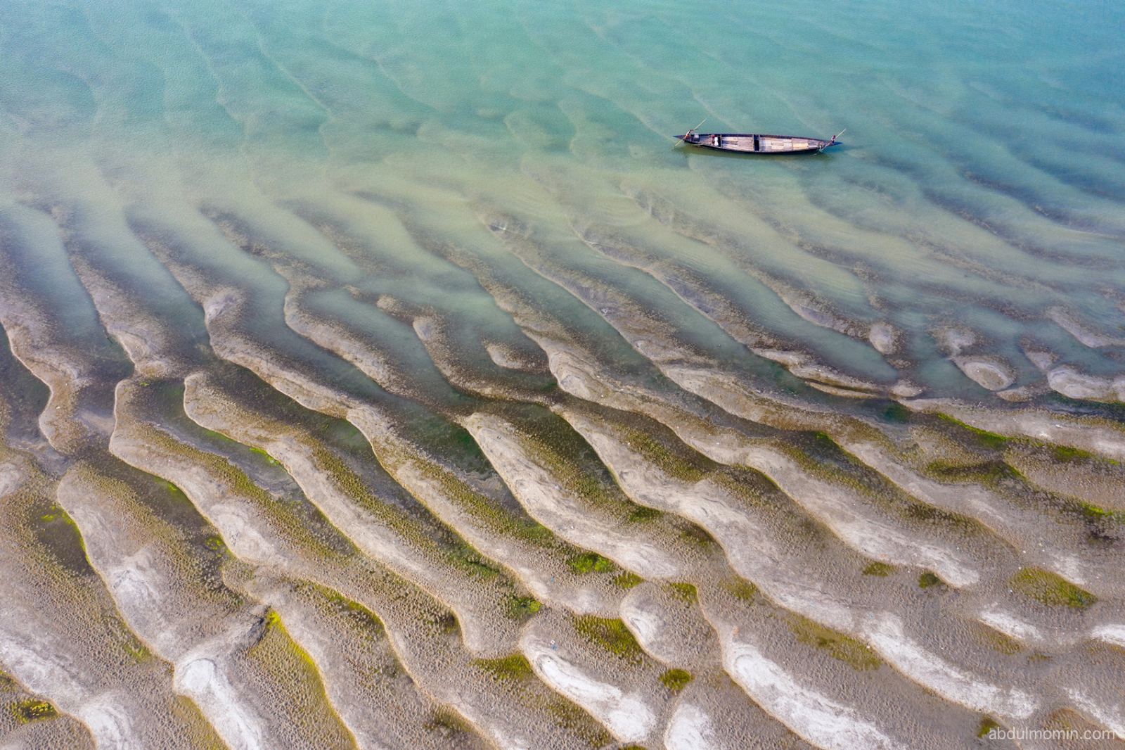 Sandbar Life in the Remote River Basin